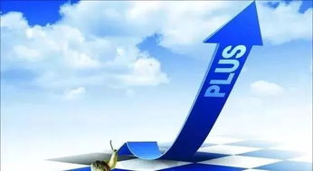 物业公司多元化经营创收方案解析 超越基础服务的价值挖掘